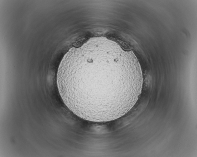 X0000112910283200909141257