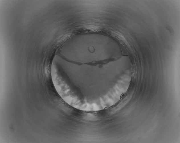 X0000112910285200909141257