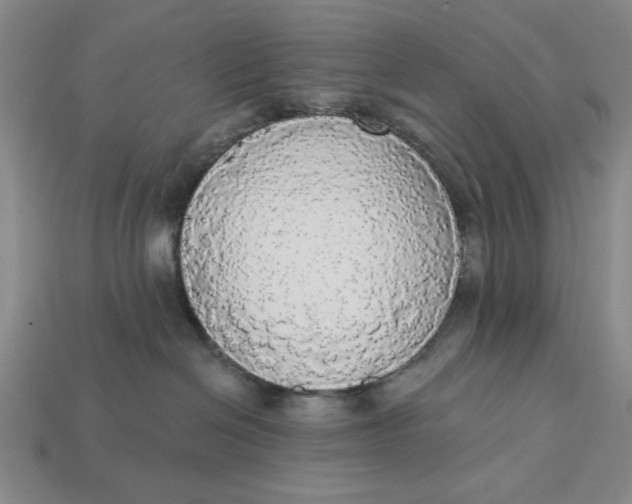 X0000112910286200909141257