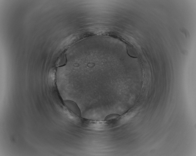 X0000112910288200909141257