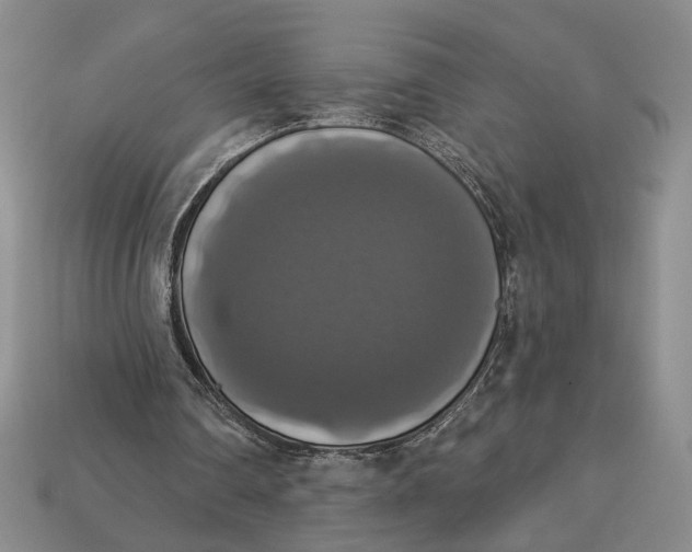 X0000112910290200909141257