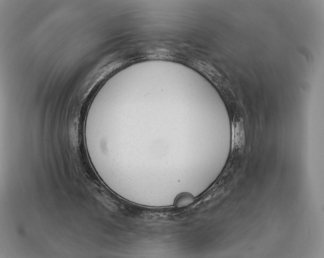 X0000112910291200909141257