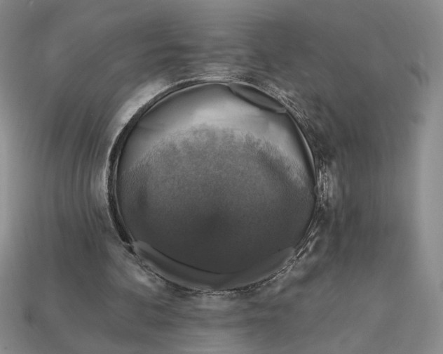 X0000112910292200909141257