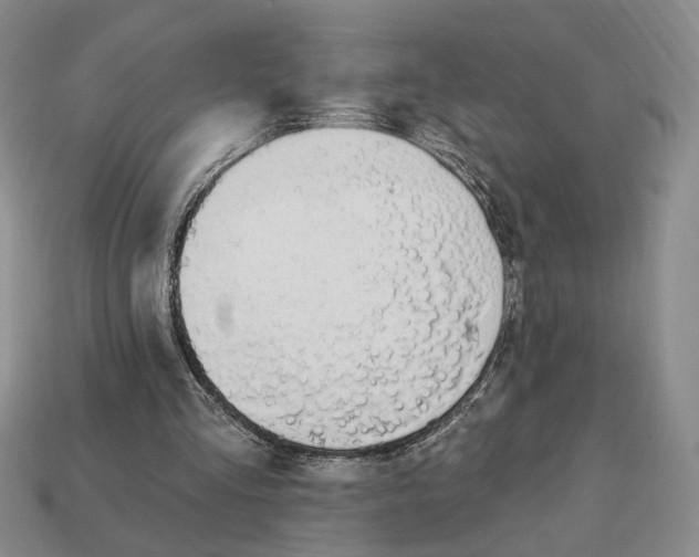 X0000112910293200909141257