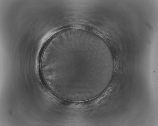 X0000112910294200909141257