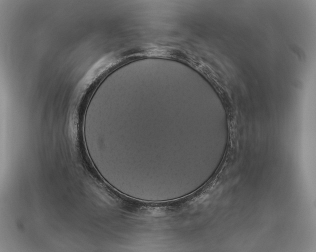 X0000112910295200909141257