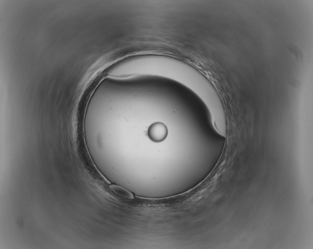 X0000112910296200909141257