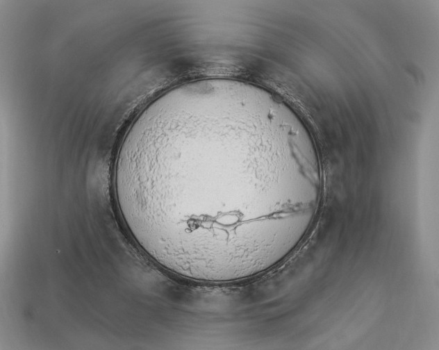 X0000112910297200909141257