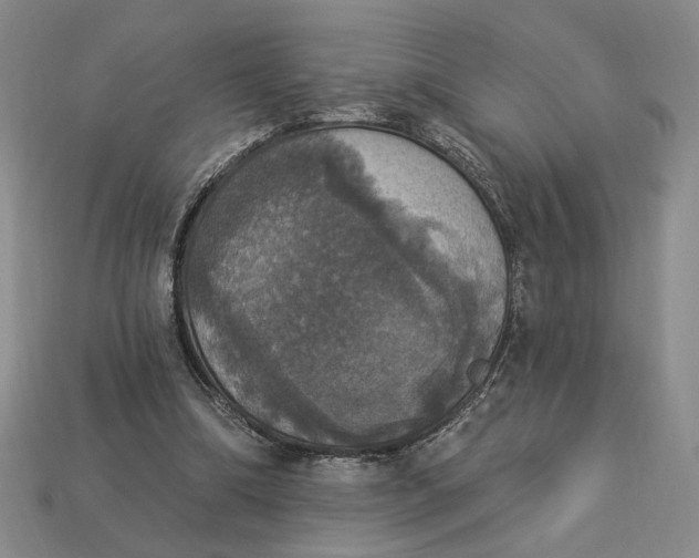 X0000112910298200909141257