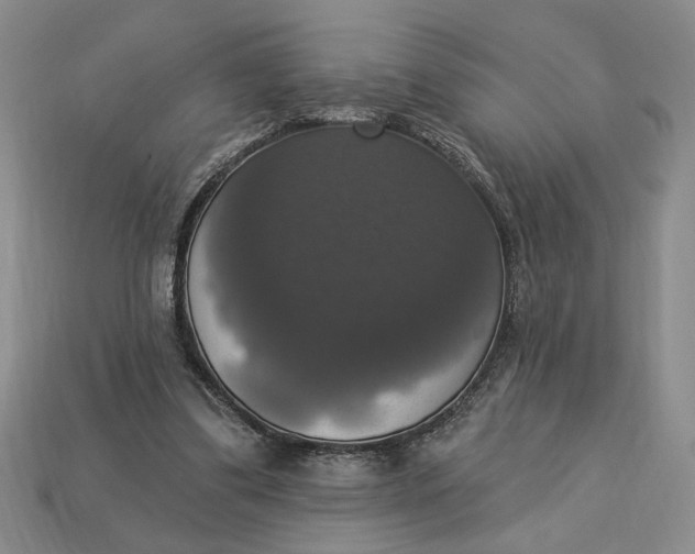 X0000112910299200909141257