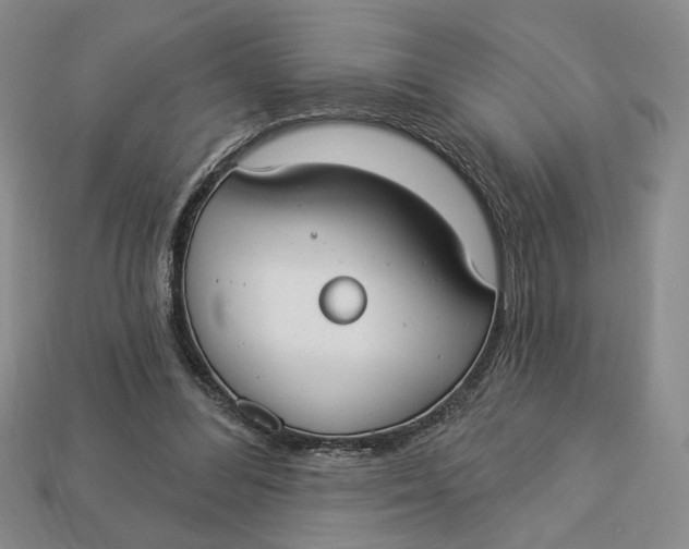 X0000112910300200909141257