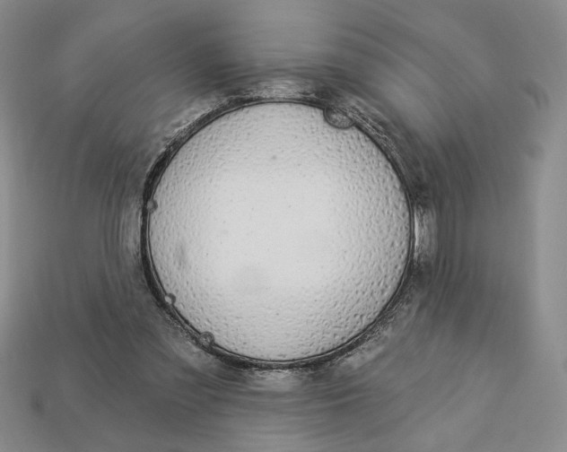 X0000112910301200909141257