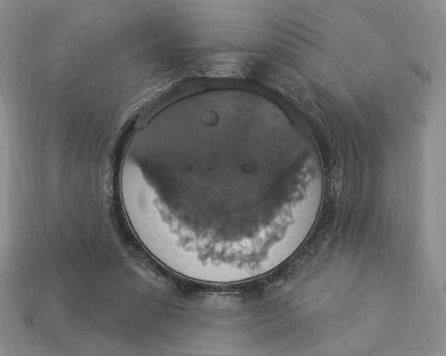 X0000112910303200909141256