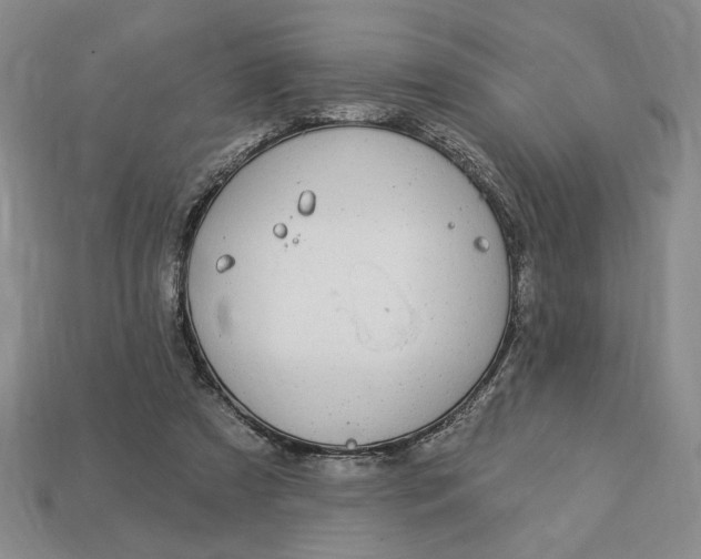 X0000112910305200909141256