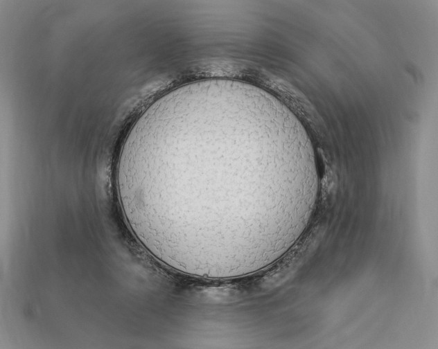 X0000112910306200909141256