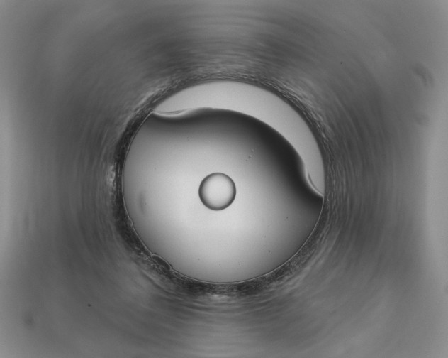 X0000112910308200909141256