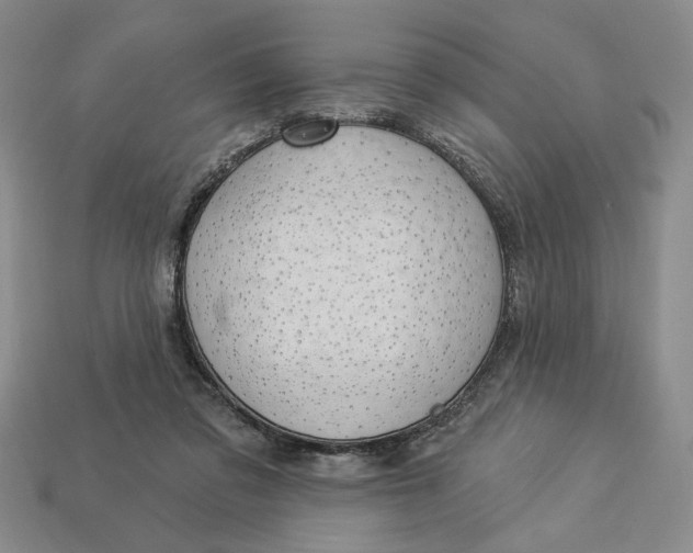 X0000112910309200909141256