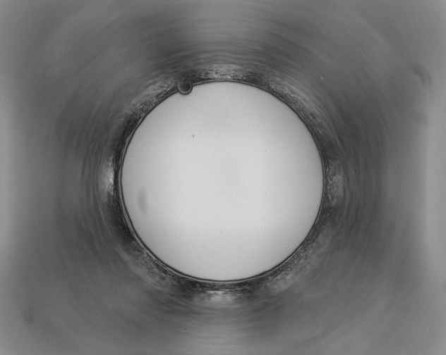 X0000112910310200909141256