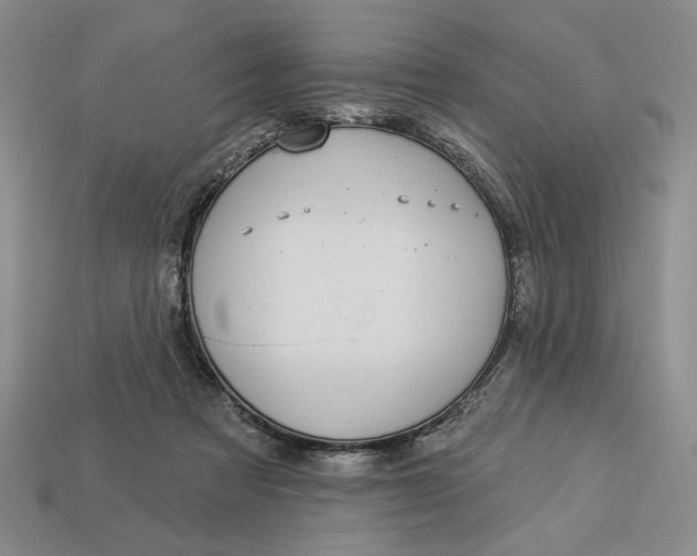 X0000112910313200909141256