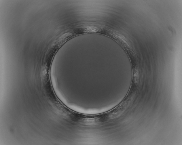 X0000112910314200909141256