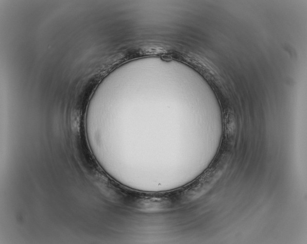 X0000112910315200909141256