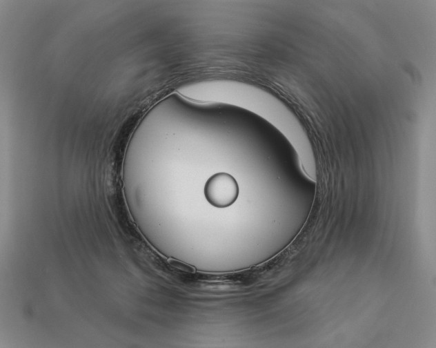 X0000112910316200909141256