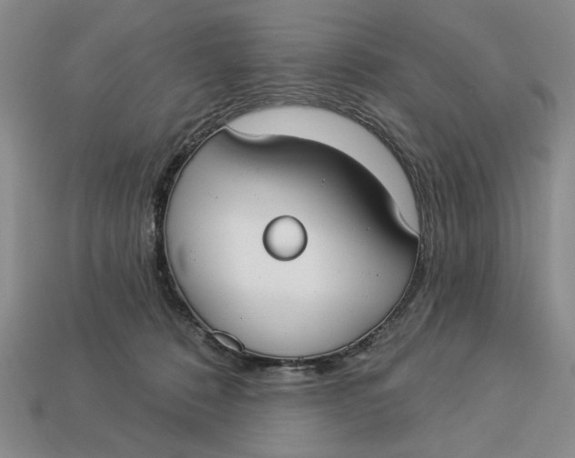 X0000112910320200909141256