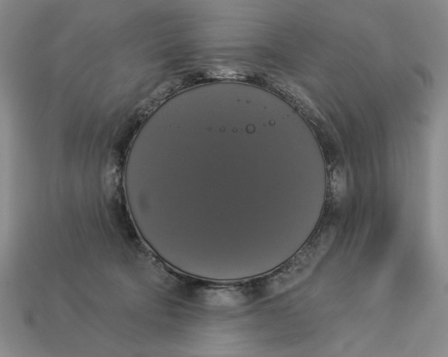 X0000112910322200909141256