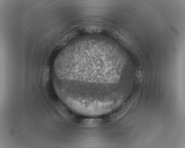 X0000112910323200909141256