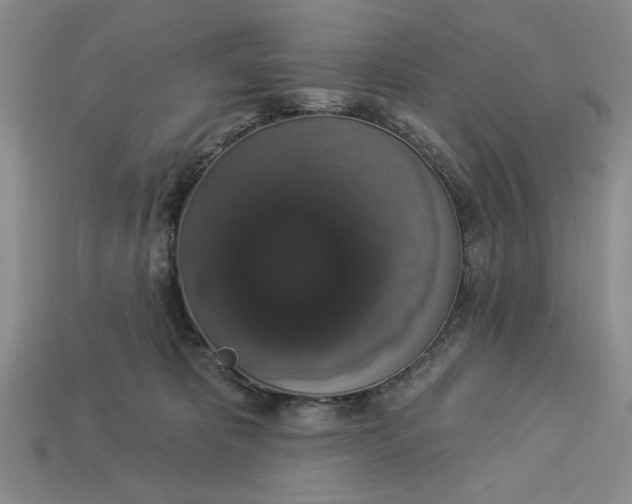 X0000112910325200909141256