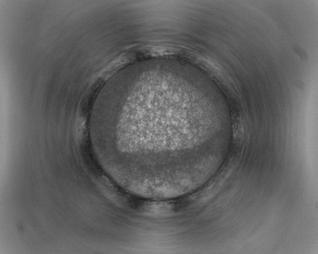 X0000112910327200909141256