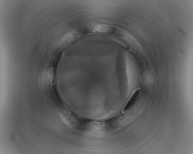 X0000112910328200909141256