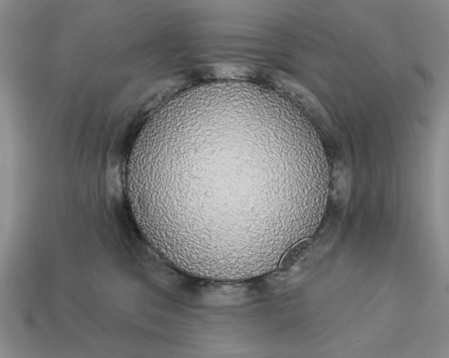 X0000112910329200909141256