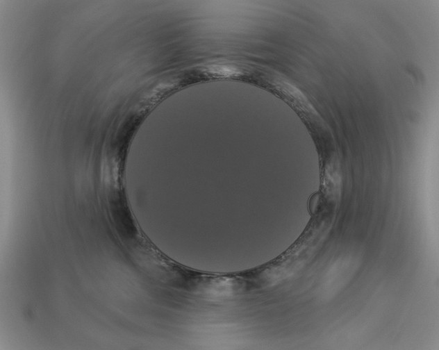 X0000112910330200909141256