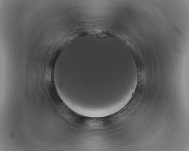 X0000112910331200909141256