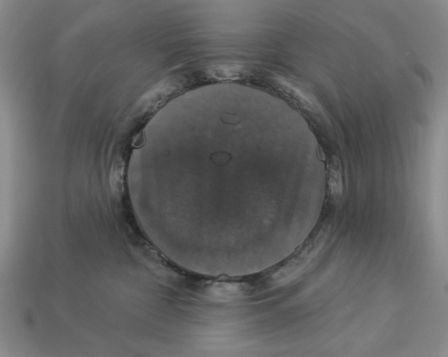 X0000112910332200909141256