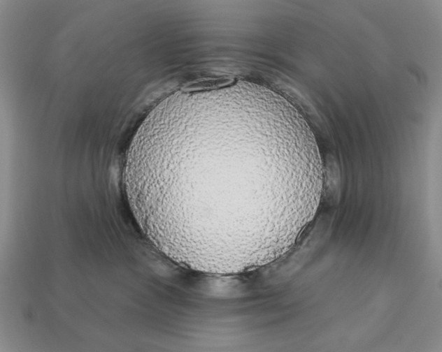 X0000112910333200909141256