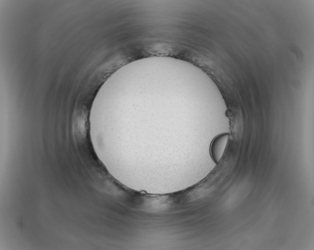 X0000112910334200909141256