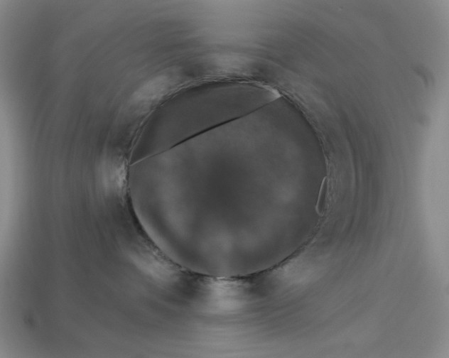 X0000112910336200909141256