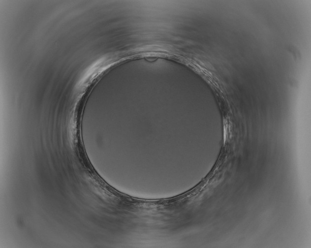 X0000112910339200909141255