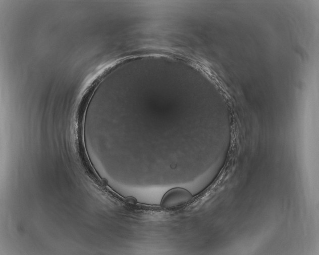 X0000112910342200909141256