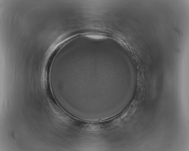 X0000112910343200909141256