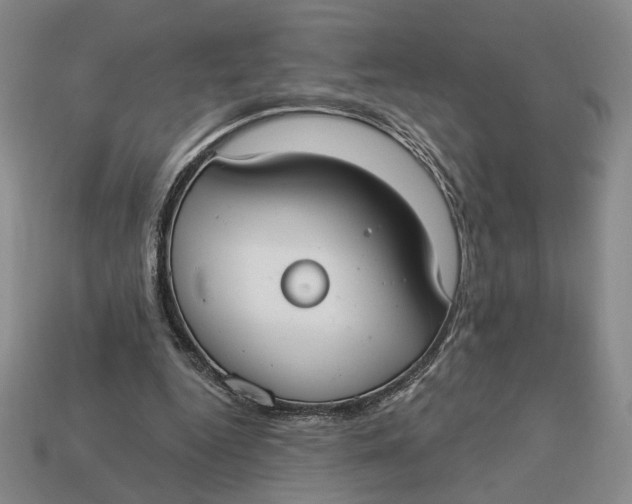 X0000112910344200909141256