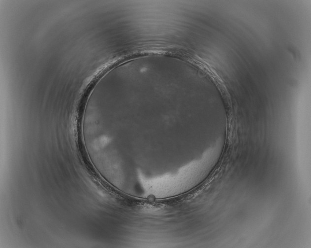 X0000112910346200909141256