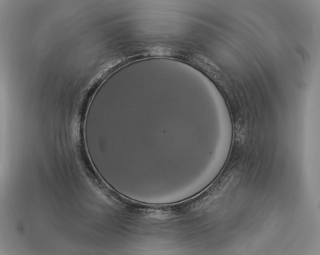 X0000112910347200909141256