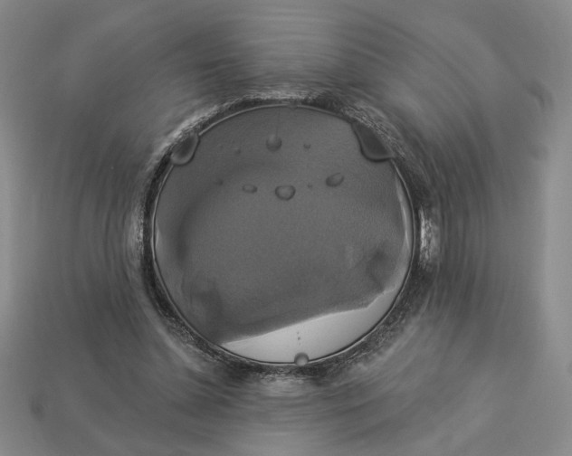 X0000112910348200909141256