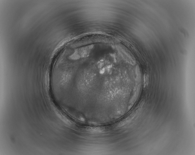 X0000112910349200909141256