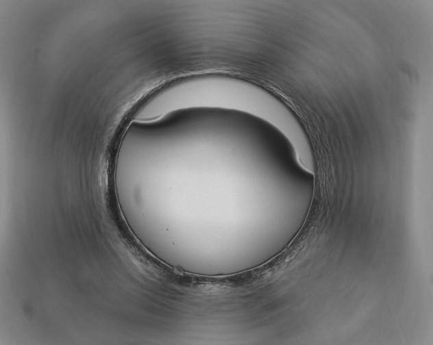 X0000112910350200909141256