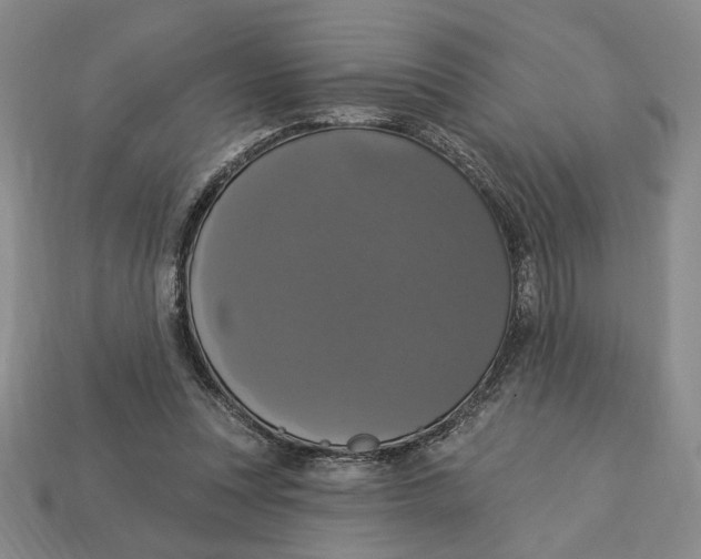 X0000112910351200909141256