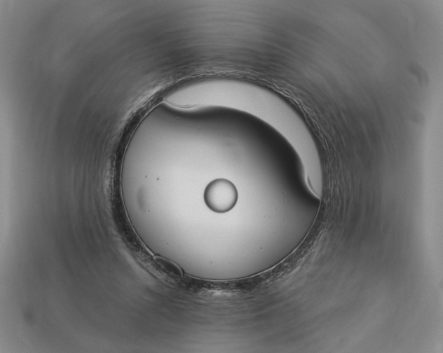 X0000112910352200909141256